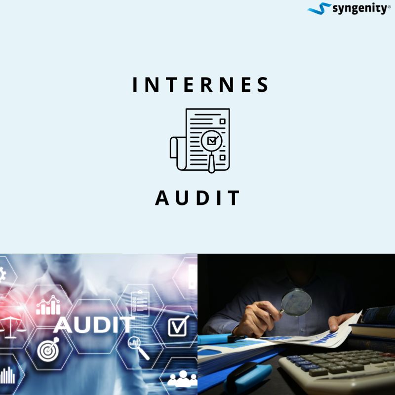 Internes Audit